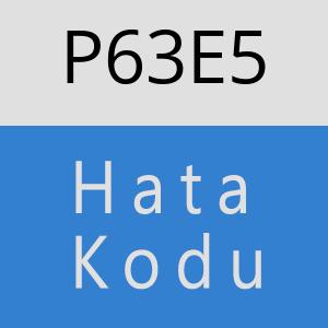 P63E5 hatasi