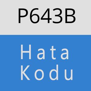 P643B hatasi