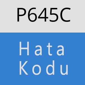 P645C hatasi