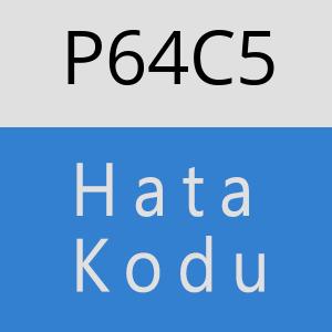 P64C5 hatasi