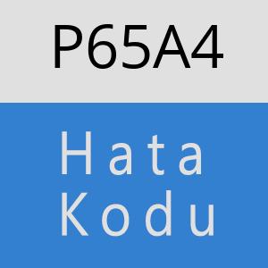 P65A4 hatasi