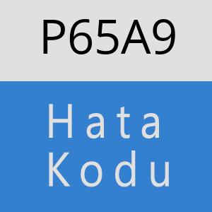 P65A9 hatasi