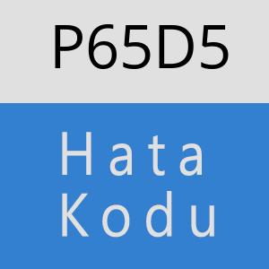 P65D5 hatasi