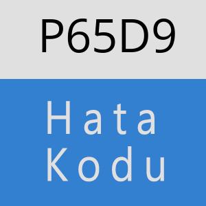 P65D9 hatasi