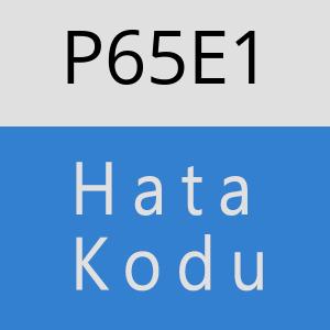 P65E1 hatasi