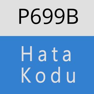 P699B hatasi