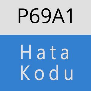 P69A1 hatasi