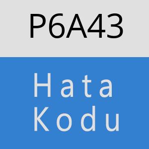 P6A43 hatasi