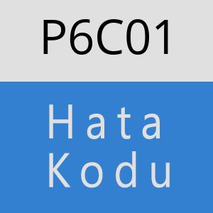 P6C01 hatasi