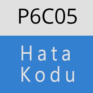 P6C05 hatasi