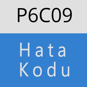 P6C09 hatasi