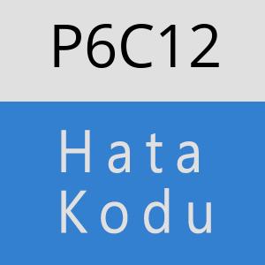 P6C12 hatasi