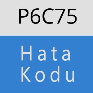 P6C75 hatasi