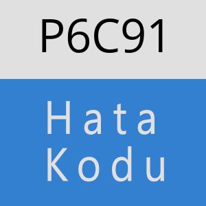 P6C91 hatasi