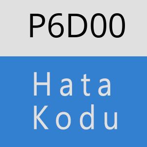 P6D00 hatasi
