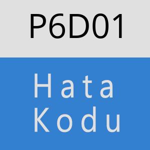 P6D01 hatasi