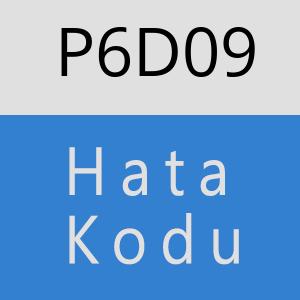 P6D09 hatasi