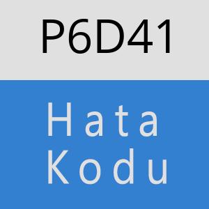 P6D41 hatasi