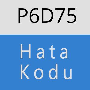 P6D75 hatasi