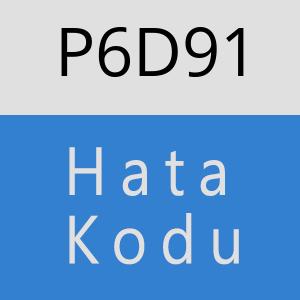 P6D91 hatasi