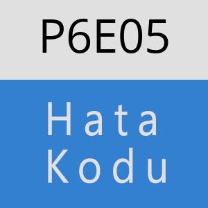 P6E05 hatasi