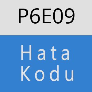 P6E09 hatasi