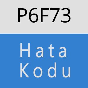 P6F73 hatasi