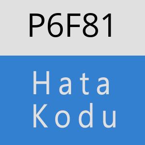 P6F81 hatasi