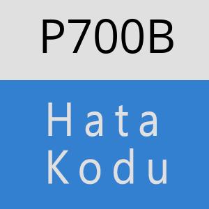 P700B hatasi