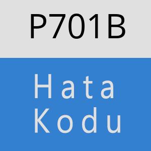 P701B hatasi