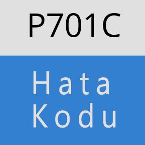 P701C hatasi