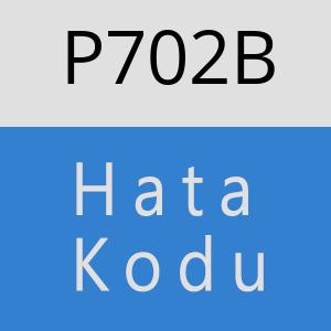 P702B hatasi