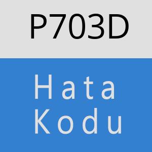 P703D hatasi