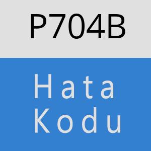 P704B hatasi