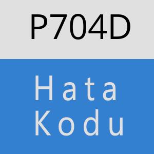 P704D hatasi