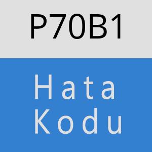 P70B1 hatasi