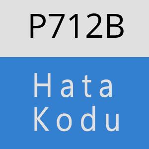 P712B hatasi