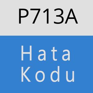 P713A hatasi