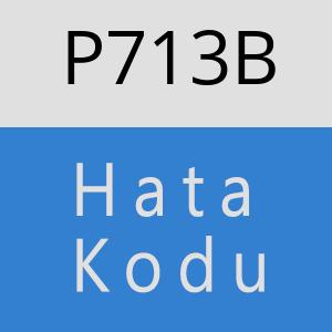 P713B hatasi