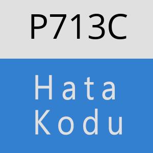 P713C hatasi