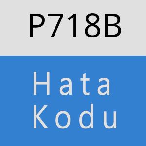 P718B hatasi