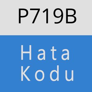 P719B hatasi