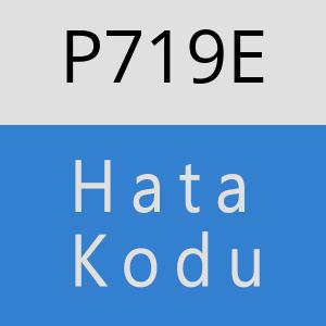 P719E hatasi