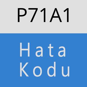 P71A1 hatasi