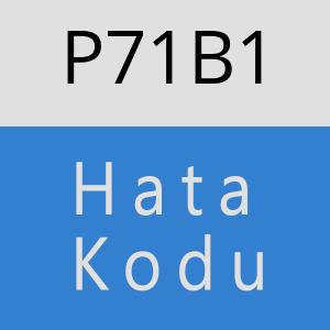 P71B1 hatasi