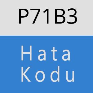 P71B3 hatasi