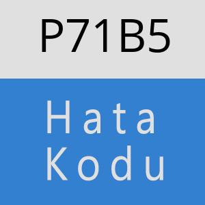 P71B5 hatasi