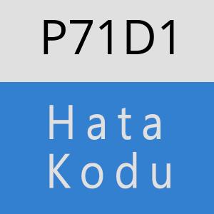 P71D1 hatasi