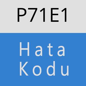 P71E1 hatasi