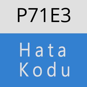 P71E3 hatasi